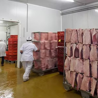 Chambre froide pour viande à basse température -25~-30 ℃   Chambre froide pour la congélation de viande, construction d'entrepôts frigorifiques
