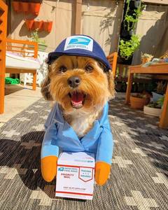 Costumi per Animali Domestici Ispirati a Personaggi <span class=keywords><strong>dei</strong></span> <span class=keywords><strong>Film</strong></span>, Abbigliamento Divertente per <span class=keywords><strong>Cani</strong></span> e Gatti di Piccola e Media Taglia, Autunno Inverno Halloween Tik Tok - Product Image 6