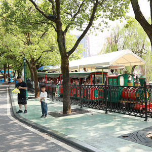 Zhuoyuan מתקני פנאי ייצור מסלול מסחרי רכבת רוכב רכיבה ילדים פארק שעשועים