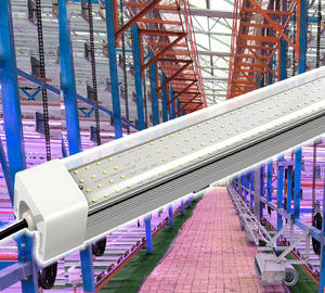 Lampes de culture pour herbe fourragère/semis, remplacement de la lumière du soleil, IP65, 4 pieds, 1200 mm, 50/100 W, tube LED de culture, utilisation en usines de culture verticale - Product Image 6