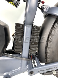 Bicicleta Eléctrica Todoterreno Queene Powerful, 48V60V 35AH, Neumáticos Anchos, Híbrida con Motores Duales y Baterías Dobles - Product Image 1