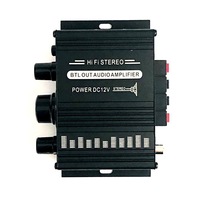 AK-170 Mini Mini Saf Amplifikatör Ev Bilgisayarı Ses 2.0 Kanal Yüksek Kaliteli Amplifikatör DC12V