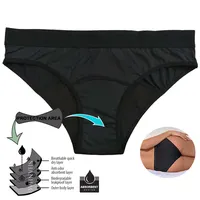 Custom Menstrual Panty for Women, Leakproof Sanitary Briefs