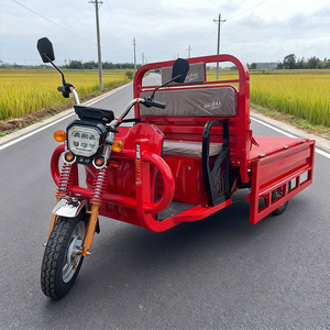 Triciclo Elettrico Sicuro e Popolare di Alta Qualità 60V 1000W, Triciclo Elettrico a <span class=keywords><strong>Tre</strong></span> <span class=keywords><strong>Ruote</strong></span> con Cassone Ribaltabile per Consegne - Product Image 4
