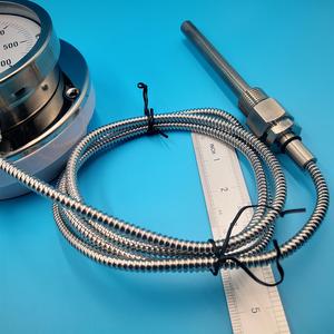 Bảng điều khiển gắn kết ngành công nghiệp sử dụng nhiệt độ cao phạm vi (0 ~ 600c) Thép không gỉ từ xa đọc mao mạch Nhiệt kế - Product Image 6