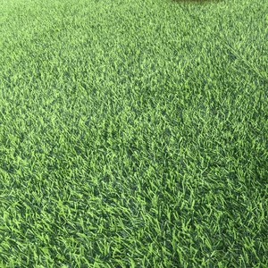 Gazon artificiel 50 mm, pelouse synthétique haute densité, tapis décoratif vert réaliste pour extérieur - Product Image 3