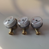 Directly Sale Eastern Europe Class B Wholesale Single Jet Wet-type Brass Body Cold Volume Water Cubic Meter With High Quality