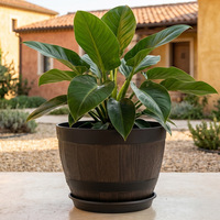 Pot de fleurs rustique en plastique - Durable et léger pour une utilisation intérieure/extérieure à la maison et au jardin