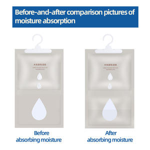 Nouveau design moderne 400g <span class=keywords><strong>d</strong></span>éshumidificateur suspendu écologique <span class=keywords><strong>grande</strong></span> <span class=keywords><strong>capacité</strong></span> <span class=keywords><strong>absorbeur</strong></span> <span class=keywords><strong>d</strong></span>'<span class=keywords><strong>humidité</strong></span> domestique pour vêtements - Product Image 2