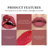 Ensemble de 3 rouges à lèvres liquides mats personnalisés à marque privée, fini velours, hydratant, longue tenue, waterproof, enrichi en vitamines
