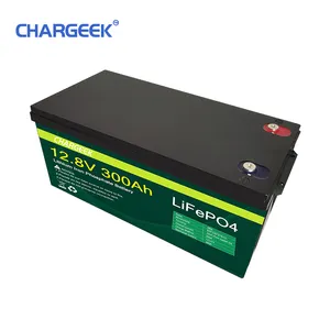 LIFEPO4 battery 12v 24v 48v energy storage lithium iron phosphate battery OEM ODM boat RV camping car power supply