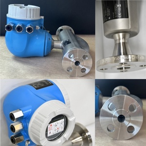 Medidor de Flujo Másico Térmico E+H Proline T-mass F 300 Endress+Hauser 6F3B15 6F3B1H 6F3B25 6F3B40 y Trampa de Vapor Spiraxsarco FT14 - Product Image 4