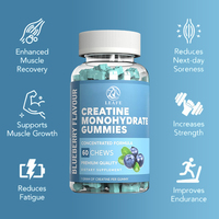 Permen Kunyah Creatine Hydrochloride Vegan Blueberry Grosir Label Pribadi 5g Bentuk Beruang untuk Pria & Wanita Pertumbuhan Otot
