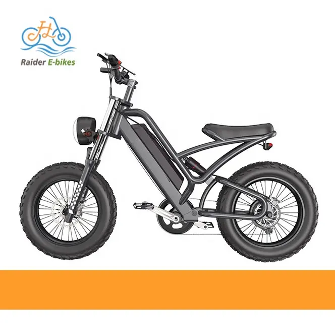 Raiderebikes 48v 1000w E-Bike Vélo électrique Route Dirt Fat Tire E Bike Fast Ebike Vélo électrique de montagne
