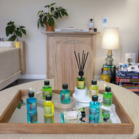 Emballage décoratif personnalisé de 100ml Décoration de maison de luxe Diffuseurs de roseau de haute qualité Cristal sans produits chimiques nocifs