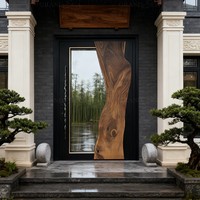 Porte pivotante extérieure contemporaine pour villa 72x96, portes doubles pivotantes extérieures, portes d'entrée