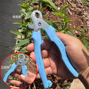 Seafood Tools Screw Cutter Snail Shears Chromium Vanadium Steel Heavy Duty For Shellfish Opening - Product Image 1