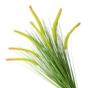 Herbe de renard artificielle Flower Delight, fleur décorative, verdure de mariage, PVC souple moulé par injection, écologique - Product Image 5