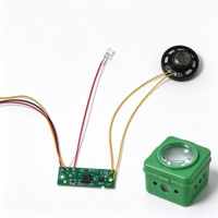 Boîtier d'insectes XINXING Stream PCBA, carte PCB LED musicale et lumineuse, personnalisée COB Chenghai
