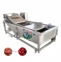 Groenten En Fruit Wasmachine Bubble Reinigingsmachine Voor Koolsla Peper Wasmachine