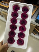 p-5 Mawar Awet dalam Warna Putih Mawar Asli Grosir Sempurna Sebagai Dekorasi Bunga DIY Hadiah Mawar