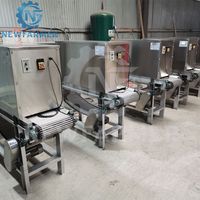 Machine à éplucher l'ail électrique intelligente, automatique, industrielle, avec système de contrôle, éplucheur à chaîne, économie de main-d'œuvre