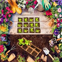 Pot de plantation biologique Kit de semis biodégradable Plantes Semences Starter Cup Germination Trays Paper Pulp Peat Pot Nutrient Cups