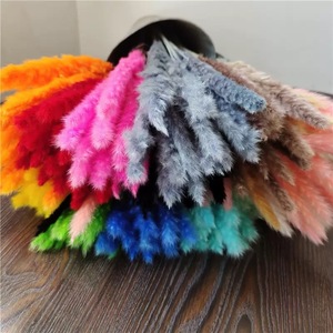 Les fleurs <span class=keywords><strong>de</strong></span> roseaux préservées les plus vendues, petite <span class=keywords><strong>herbe</strong></span> <span class=keywords><strong>de</strong></span> la <span class=keywords><strong>pampa</strong></span> pour les arrangements floraux <span class=keywords><strong>de</strong></span> remise <span class=keywords><strong>de</strong></span> diplôme, <span class=keywords><strong>de</strong></span> Noël, <span class=keywords><strong>de</strong></span> Thanksgiving et <span class=keywords><strong>de</strong></span> mariage - Product Image 5