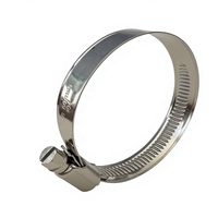 Collier de serrage à vis sans fin en acier inoxydable 316 de type allemand W5 DIN3017 9mm 12mm pour bateau marin