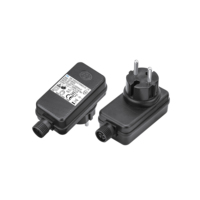 Adaptador de Corriente con Enchufe DC para UE/AU/Reino Unido/EE. UU., Resistente al Agua IP44, 12V 2A, Certificado CE, 2 Años de Garantía