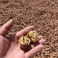 Groothandel Gezonde Heerlijke 100% Beste Kwaliteit Export Walnoten Beste Prijs Rauwe Gedroogde Vruchten Gewassen Walnoten