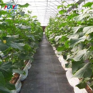 Sơn Đông huaye thêm rộng nông nghiệp không dệt vải Bìa nông nghiệp PP spunbond không dệt cho nông nghiệp sử dụng - Product Image 3