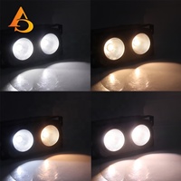 AICPOSE Meilleur Prix Projecteur LED Spectateur 200 Watts COB LED Lumière Scénique Chaude et Froide