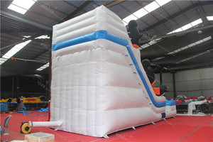 Inflatable PVC Penguins <b>Water</b> <b>Slide</b> Amusement Ride for Commercial Outdoor <b>Water</b> Park Use - Product Image 2