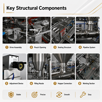 Machine d'emballage automatique de sachets pour liquides (eau, jus, lait, sauce soja, vinaigre, liquides visqueux) – Équipement de remplissage et de scellage