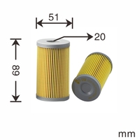 Filtre à carburant BT pour PF717 P502161 F-5210 FF5103 4366704 dans les machines de construction