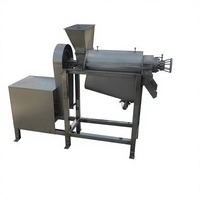 Automatische commerciële sapmachine, verse fruitsapcentrifuge