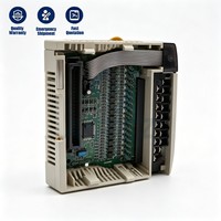 Adaptador de E/S Remoto 990NAD21110 para Controlador PLC 990NAD21110 con Servicio de Conversor Modbus OPC Opcional