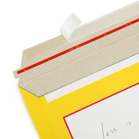 Échantillon gratuit, vente en gros, enveloppes en carton personnalisées avec impression, format A4, enveloppes pour documents EMS Express, enveloppes en carton DHL Express