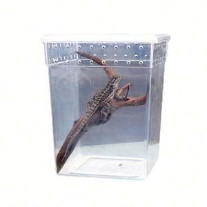 Boîte d'élevage pour <span class=keywords><strong>reptiles</strong></span> en plastique ABS blanc respirant et durable, enclos 20x20x25cm, écologique Lynpet pour <span class=keywords><strong>reptiles</strong></span> - Product Image 1