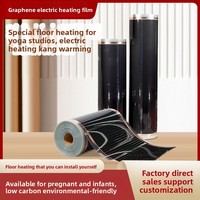 Film Chauffant Industriel Puissant 170W en Graphène/PET, Design Moderne, OEM/ODM, pour Hôtels et Utilisation Extérieure – Vente en Gros