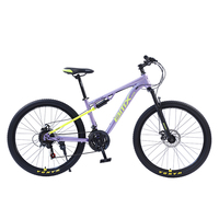 VTT Vélos de Montagne OEM Personnalisés 26 Pouces 29 Pouces Homme Femme Tout Suspendu à Prix Abordable