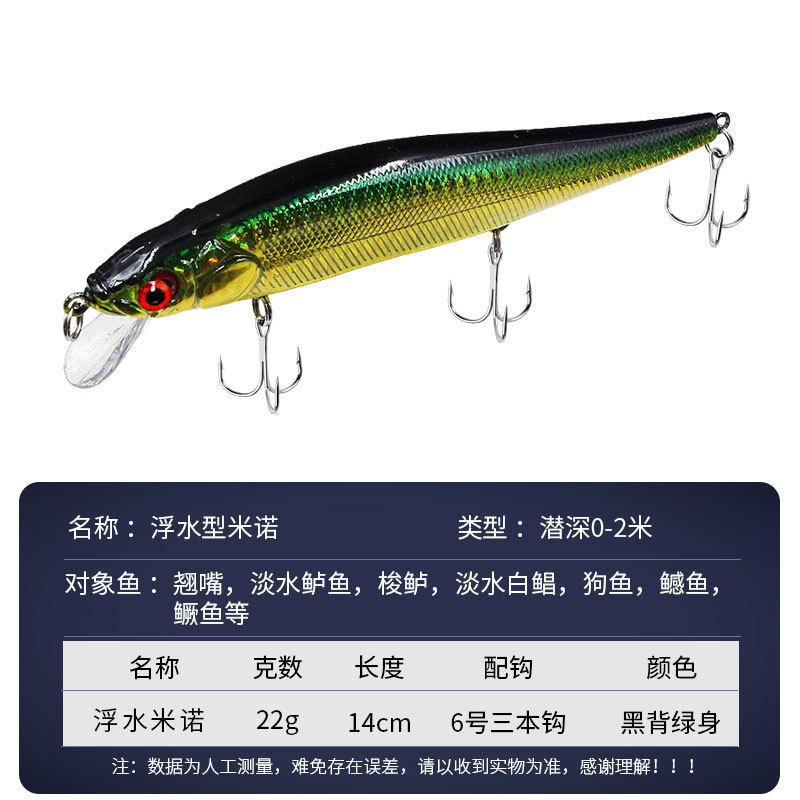 Corpo verde dorato con retro nero