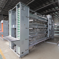 Cages à poules pondeuses automatiques de type H de haute qualité pour l'élevage de 500 poulets de chair