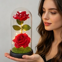 Cadeaux romantiques pour la Saint-Valentin, la remise des diplômes, les mariages, lampes décoratives à LED avec couvercle en verre pour intérieur/extérieur, ornements en forme de rose.