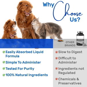 أفضل مضغ صحي للعين للكلاب والقطط ومكملات الحيوانات الأليفة القائمة على الأسماك مع دعم للرؤية قابل للتخصيص مع تحكم برغوث OEM/ODM - Product Image 5