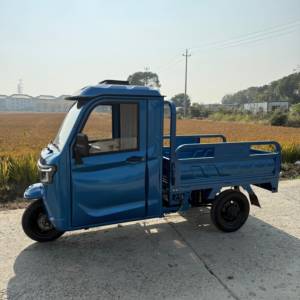 Triciclo Eléctrico de Carga con Cabina Cerrada, Volante, COC CE, 3000W, EEC, Tres Ruedas, con DDP, Almacén en Rumania, 2026 - Product Image 5