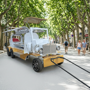 Cercueil de haute qualité, charrette funéraire électrique, cercueil traîné par des chevaux à vendre, transport funéraire spécial - Product Image 1