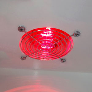 Lize Pet ตู้ทำผมอัตโนมัติสัตว์เลี้ยงสำหรับแมวและสุนัข - Product Image 5