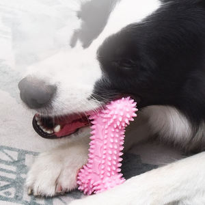 All'ingrosso colori Eco Friendly simpatici animali da compagnia giocattoli interattivi di movimento per cani giocattolo da masticare con <span class=keywords><strong>TPR</strong></span> piccoli giocattoli di osso del capezzolo neutro - Product Image 4